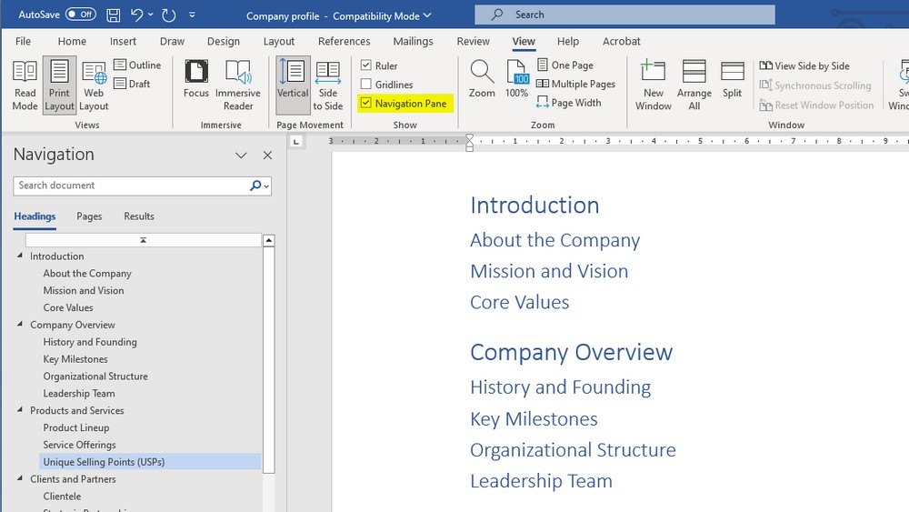 This is the list of sections for your MS Word document "Company Profile"