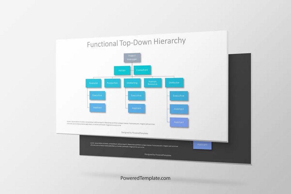 Organizational Structure: Building Blocks for Successful Business Management -- Functional Top-Down Hierarchy
