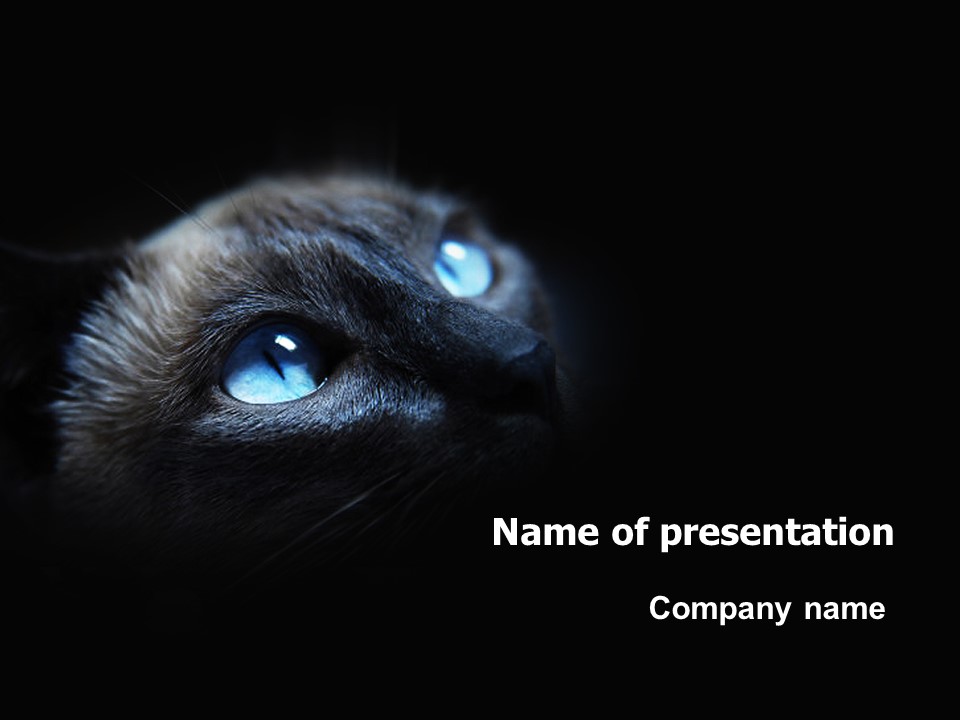 Cat - Free Google Slides theme and PowerPoint template
