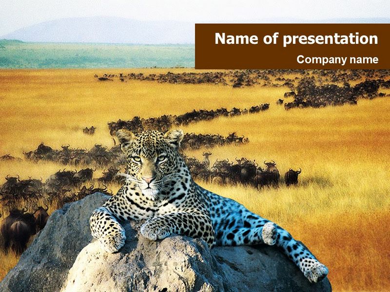 Leopard on the Rock - Free Google Slides theme and PowerPoint template
