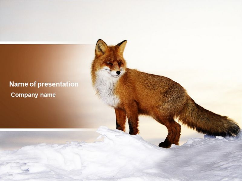 Red Fox - Free Google Slides theme and PowerPoint template
