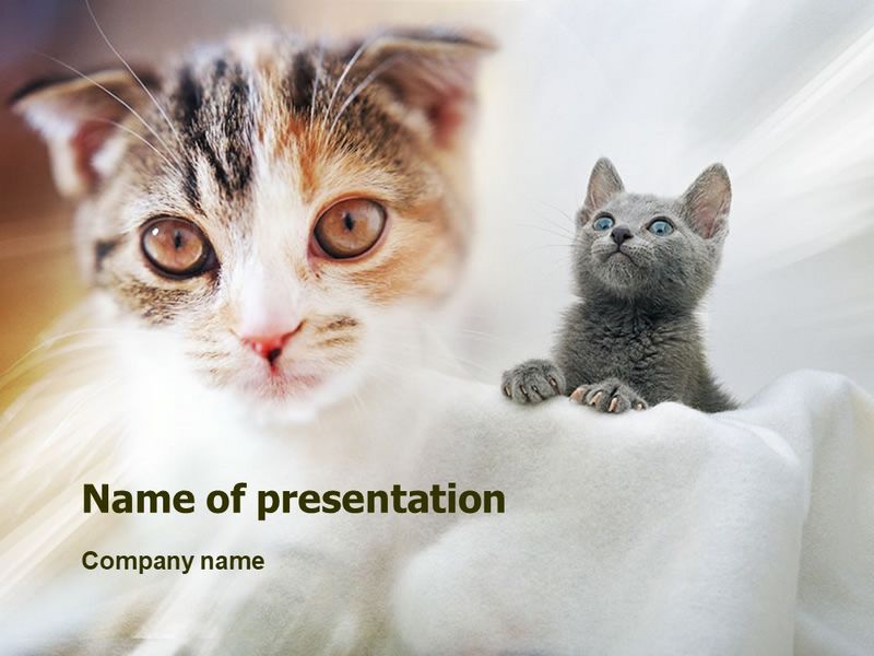 Cats - Free Google Slides theme and PowerPoint template
