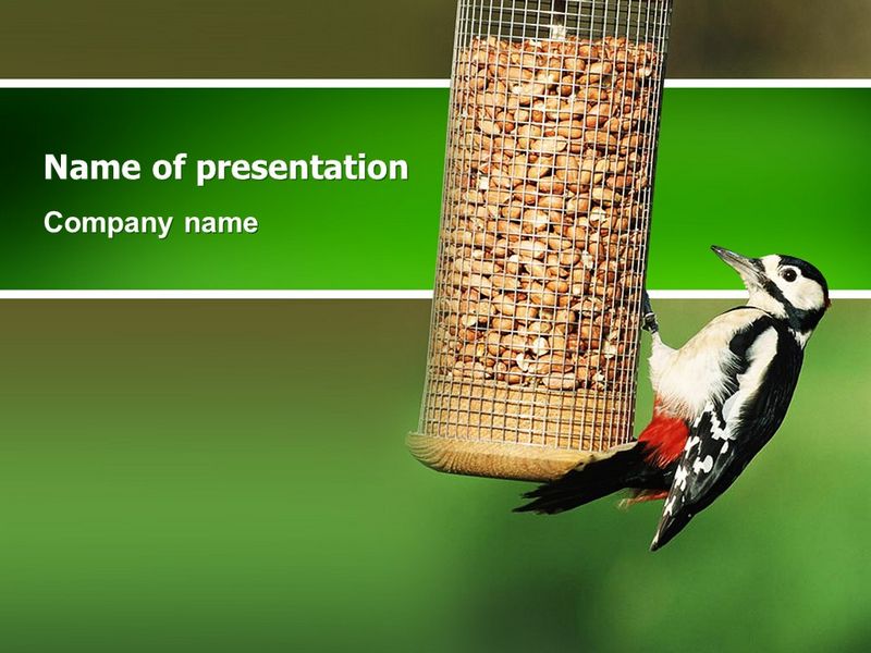 Birdfeeder - Free Google Slides theme and PowerPoint template

