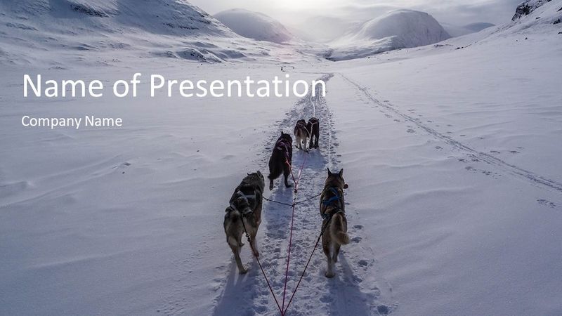 Dog Sledding - Free Google Slides theme and PowerPoint template
