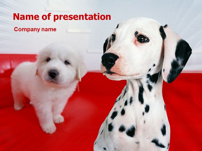 Dalmatian - Free Google Slides theme and PowerPoint template
