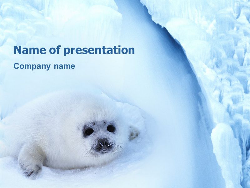 Fur-Seal - Free Google Slides theme and PowerPoint template
