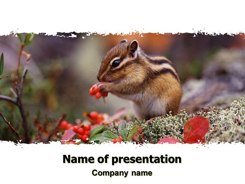 Chipmunk - Free Google Slides theme and PowerPoint template
