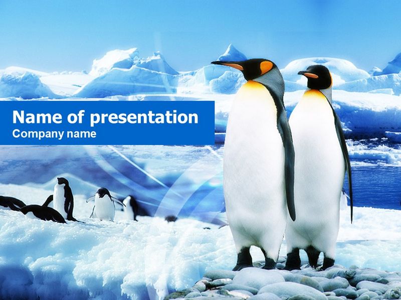 Penguin Couple - Free Google Slides theme and PowerPoint template
