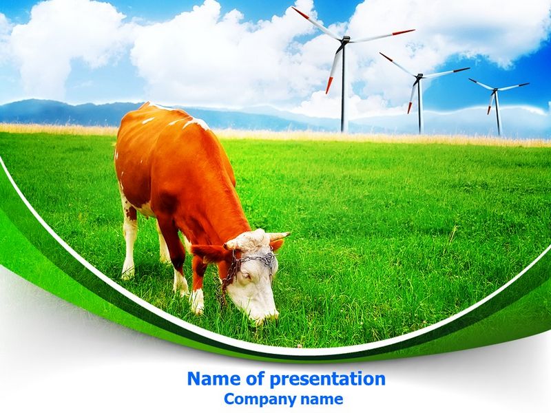 Grazing Cow - Free Google Slides theme and PowerPoint template
