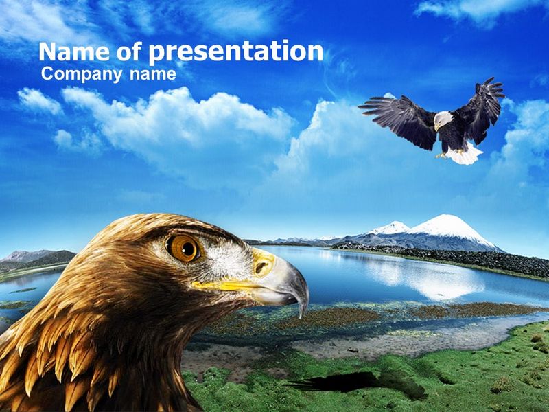Eagles - Free Google Slides theme and PowerPoint template
