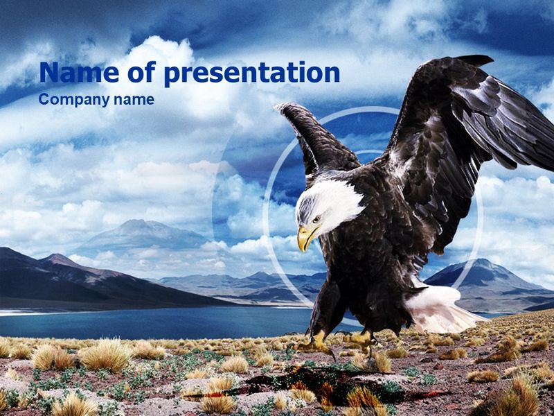 North American Eagle - Free Google Slides theme and PowerPoint template
