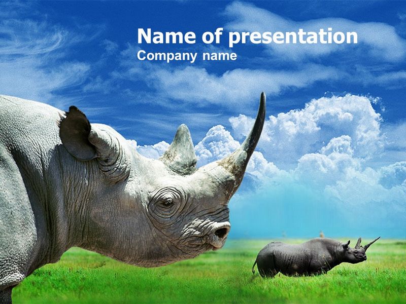 White Rhinoceros - Free Google Slides theme and PowerPoint template

