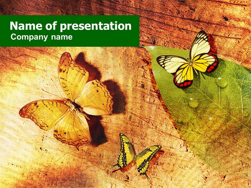 Butterflies On A Wood - Free Google Slides theme and PowerPoint template
