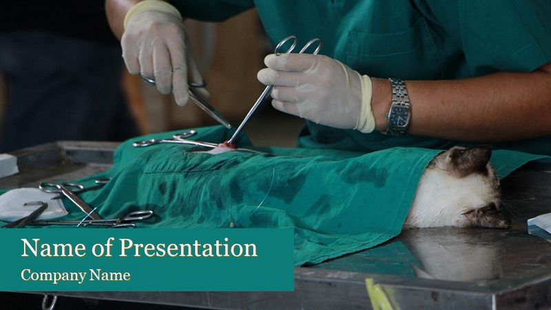 Vet Surgeon - Free Google Slides theme and PowerPoint template
