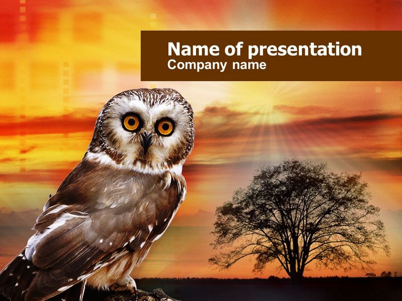 Owl - Free Google Slides theme and PowerPoint template
