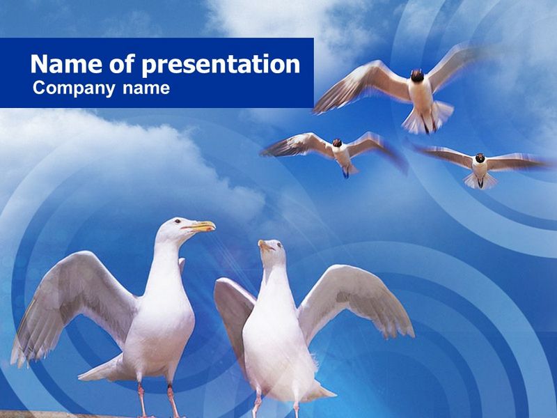 Seagull - Free Google Slides theme and PowerPoint template
