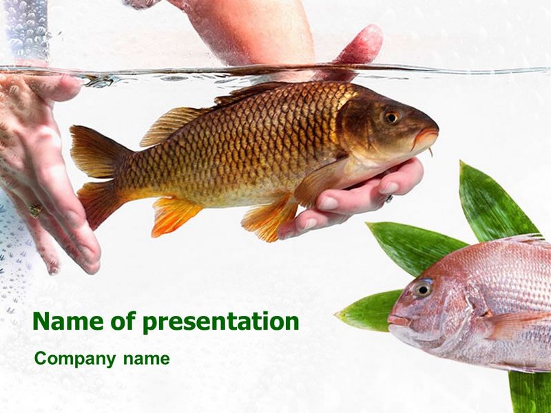 Fish in Water - Free Google Slides theme and PowerPoint template
