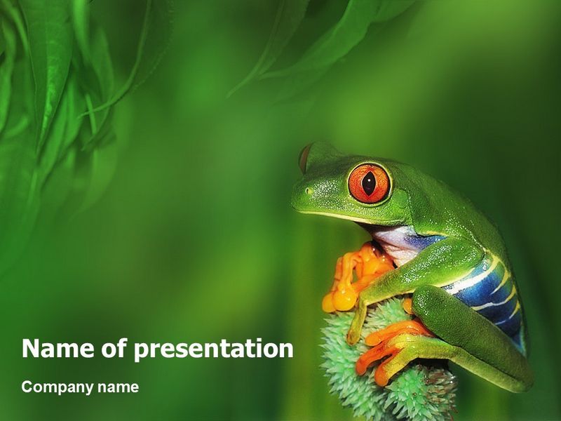 Frog - Free Google Slides theme and PowerPoint template

