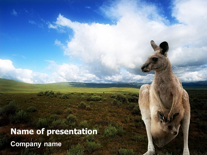 Kangaroo - Free Google Slides theme and PowerPoint template

