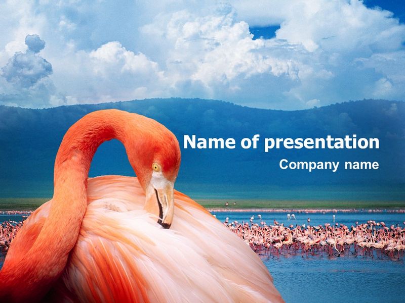 Flamingo - Free Google Slides theme and PowerPoint template
