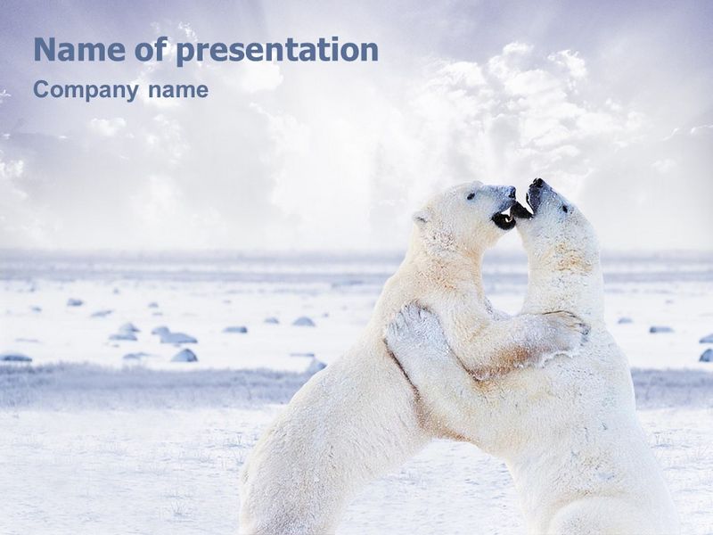 Polar Bear - Free Google Slides theme and PowerPoint template
