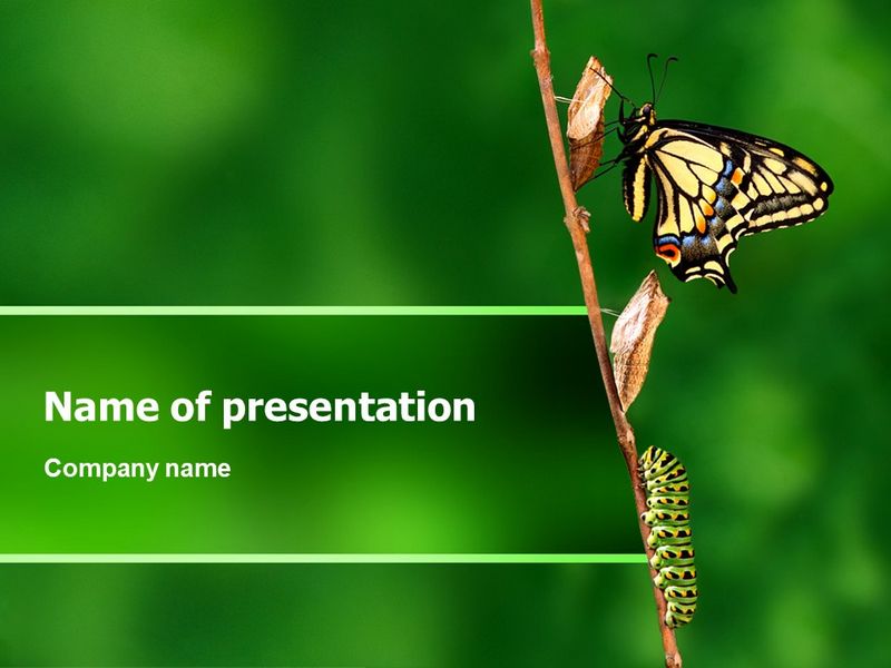 Butterfly And Caterpillar - Free Google Slides theme and PowerPoint template
