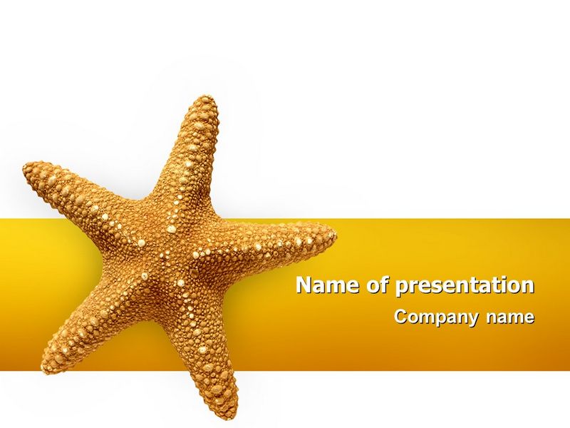 Star Fish - Free Google Slides theme and PowerPoint template
