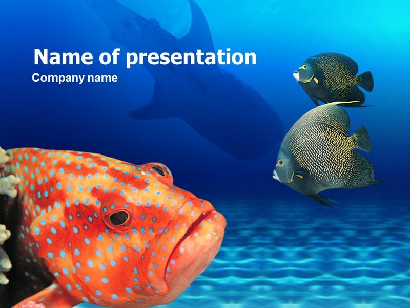 Fish In Aquarium - Free Google Slides theme and PowerPoint template

