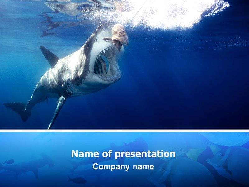 Shark Hanting - Free Google Slides theme and PowerPoint template
