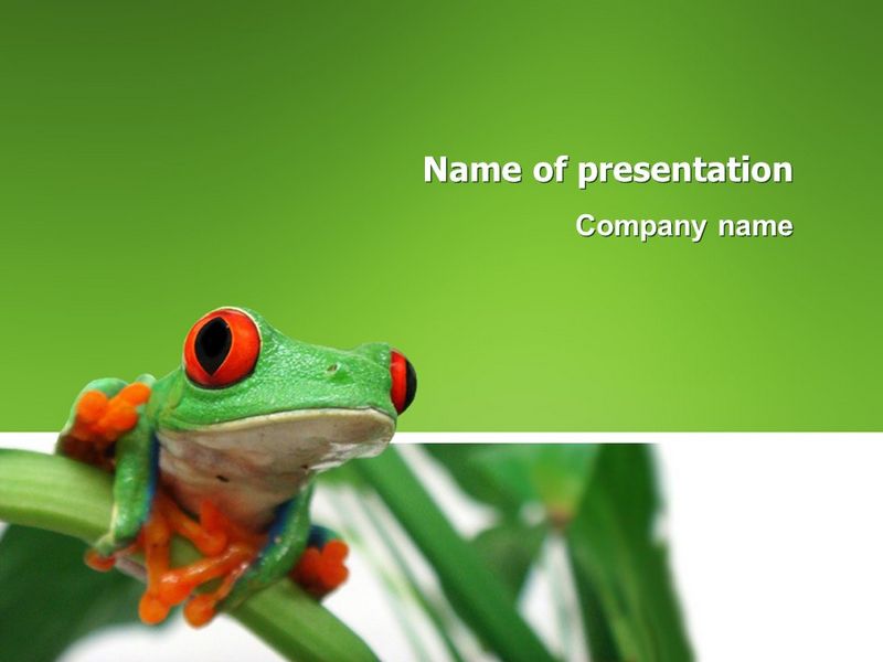 Toad - Free Google Slides theme and PowerPoint template

