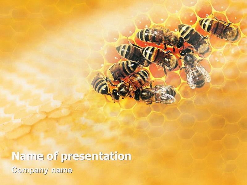 Cells and Bees - Free Google Slides theme and PowerPoint template
