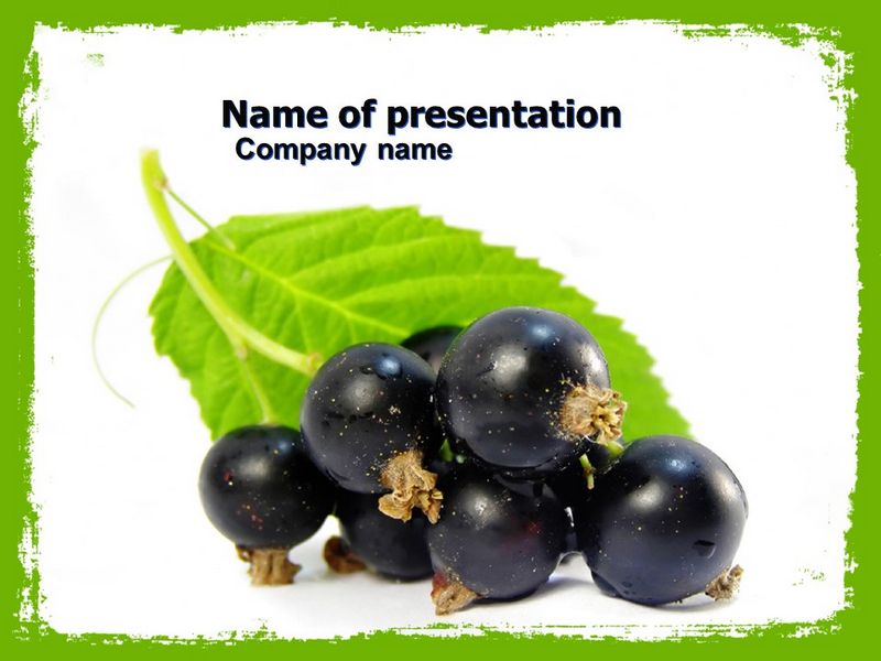 Blackcurrant - Free Google Slides theme and PowerPoint template

