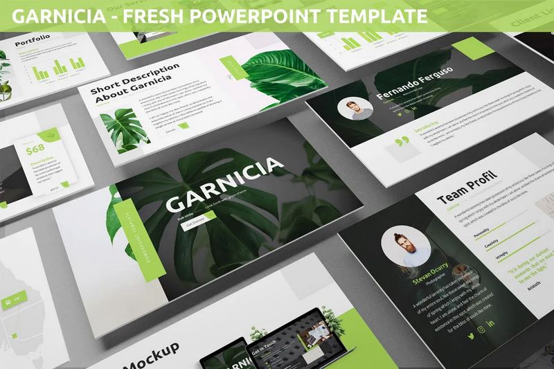 Garnicia - Fresh Powerpoint Template
