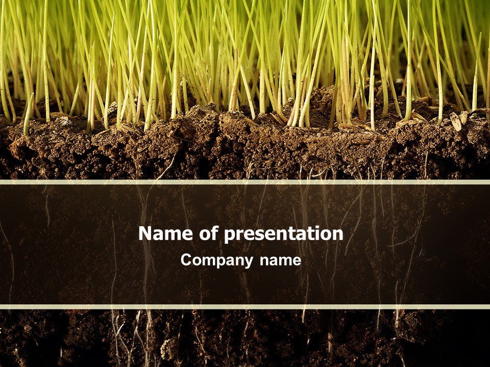 Soil PowerPoint Template and Google Slides Theme
