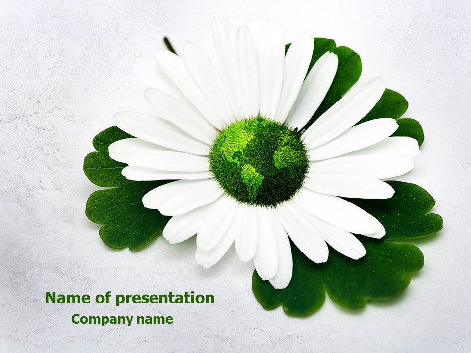 World Daisy - Free Google Slides theme and PowerPoint template
