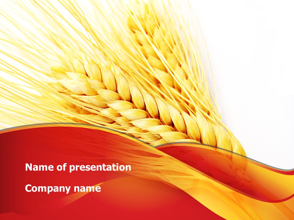 Wheat Harvest PowerPoint Template and Google Slides Theme
