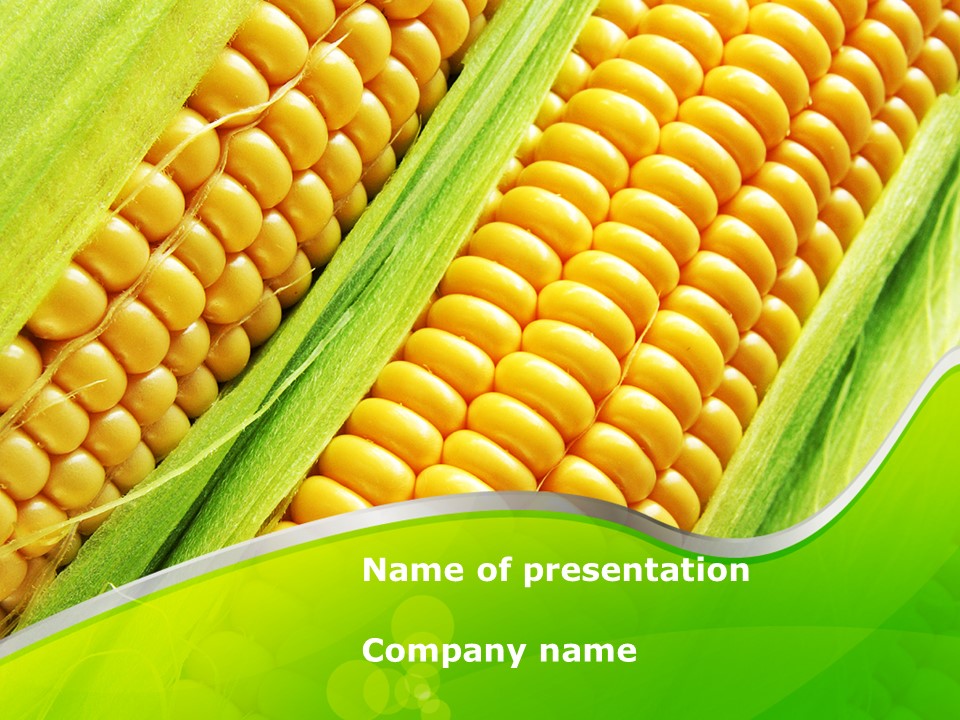 Ear Of Corn PowerPoint Template and Google Slides Theme
