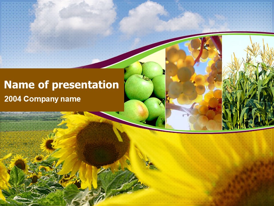 Sunflower, Apple, Grape And Corn - Free Google Slides theme and PowerPoint template
