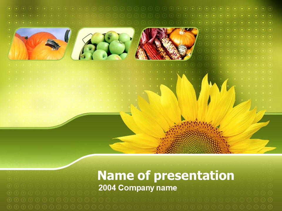 Sunflower - Free Google Slides theme and PowerPoint template
