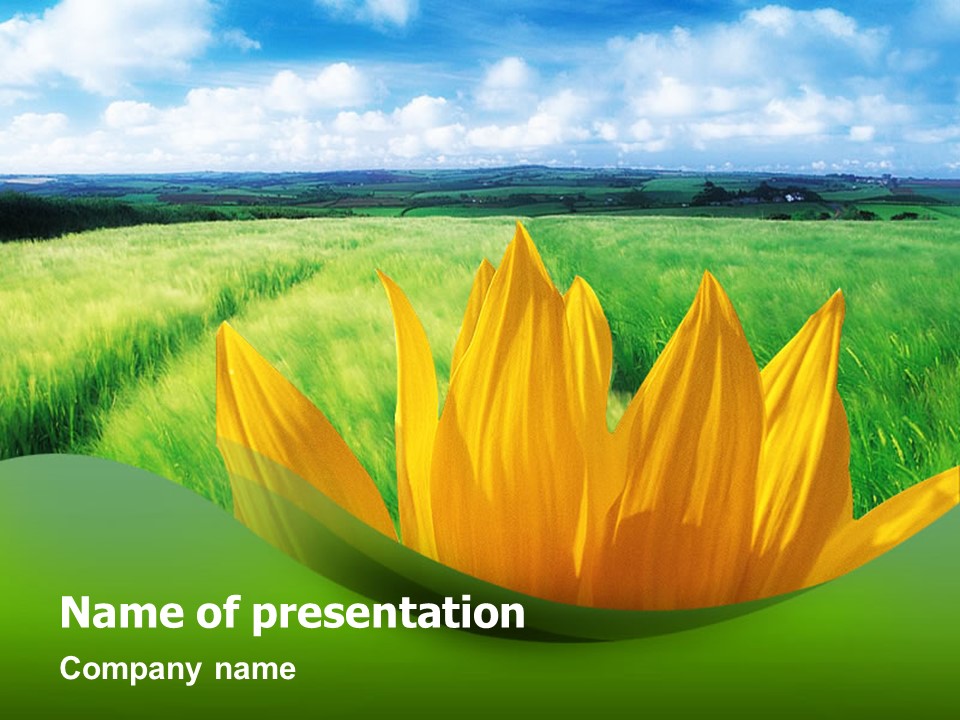 Sunflower In Green - Free Google Slides theme and PowerPoint template

