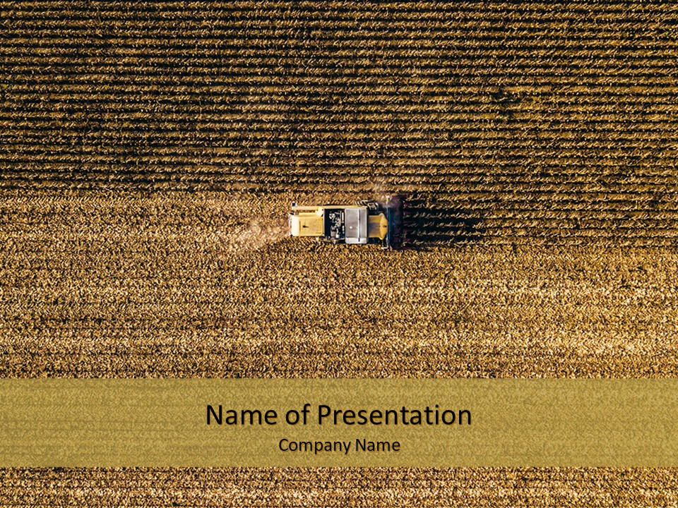 Harvesting Corn in Autumn - Free Google Slides theme and PowerPoint template
