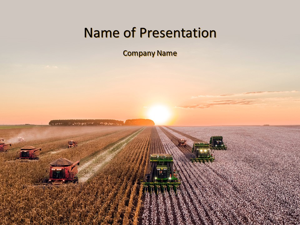 Harvest at Sunset - Google Slides theme and PowerPoint template
