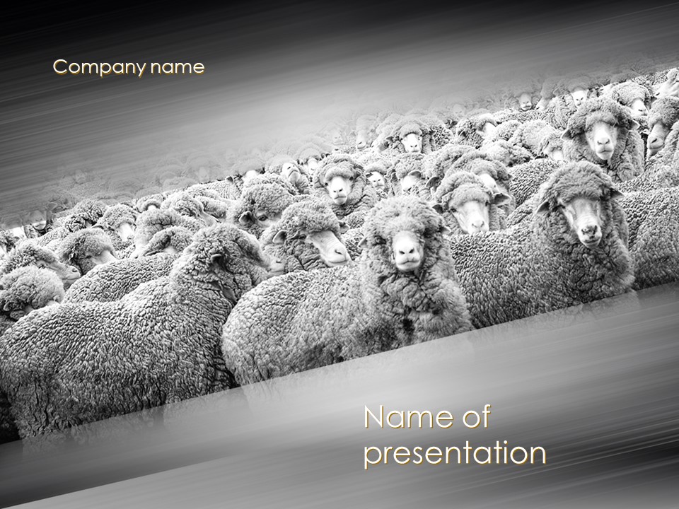 Flock of Sheep PowerPoint Template and Google Slides Theme
