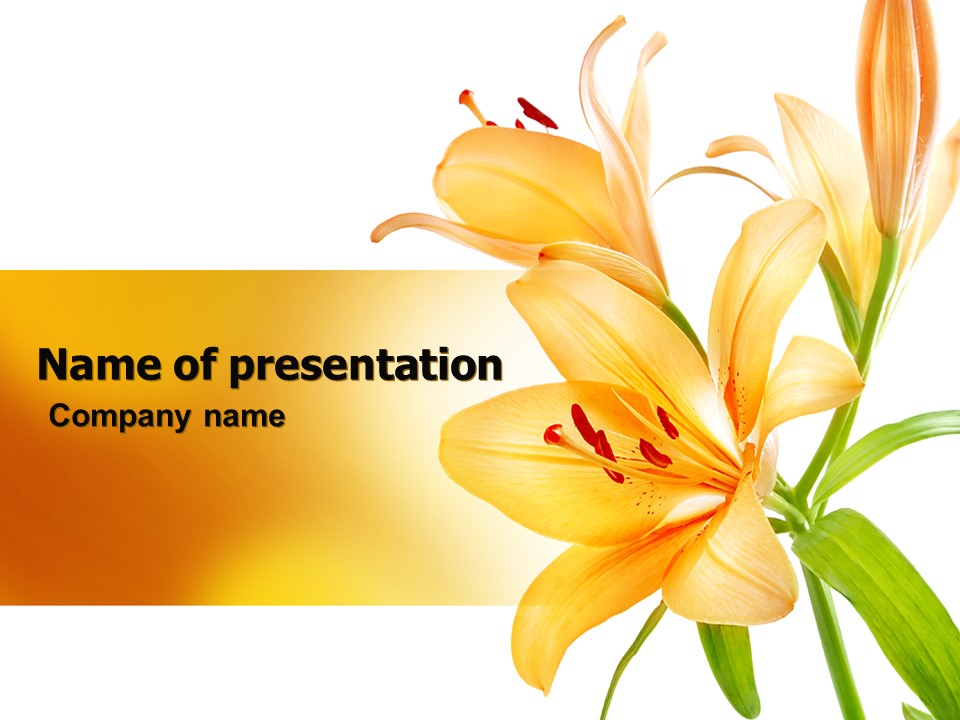 Yellow Lily - Free Google Slides theme and PowerPoint template
