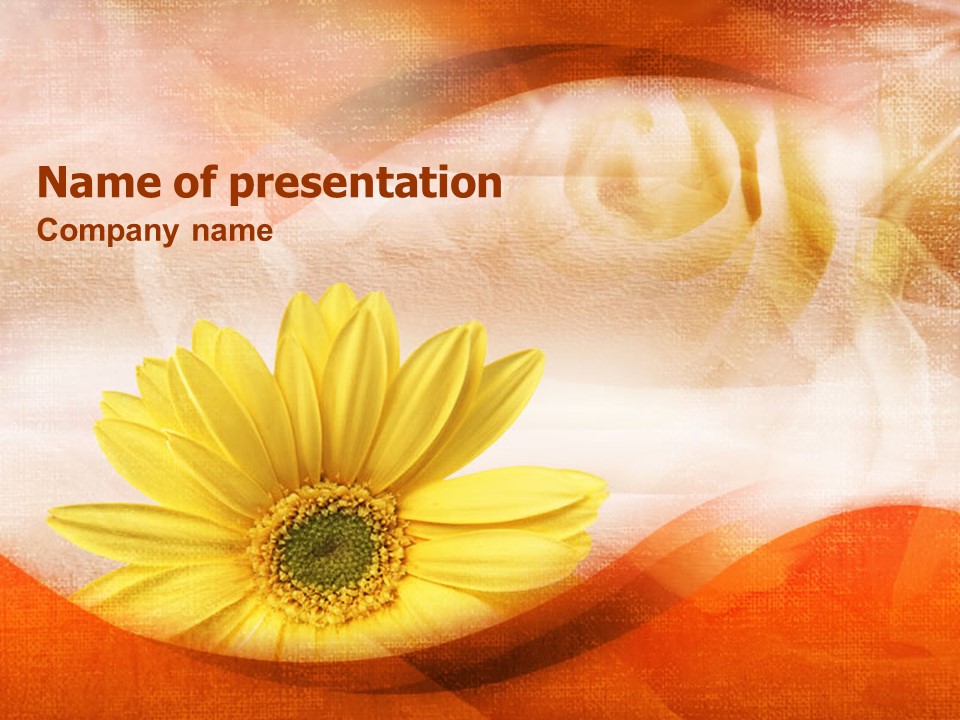 African Daisy - Free Google Slides theme and PowerPoint template
