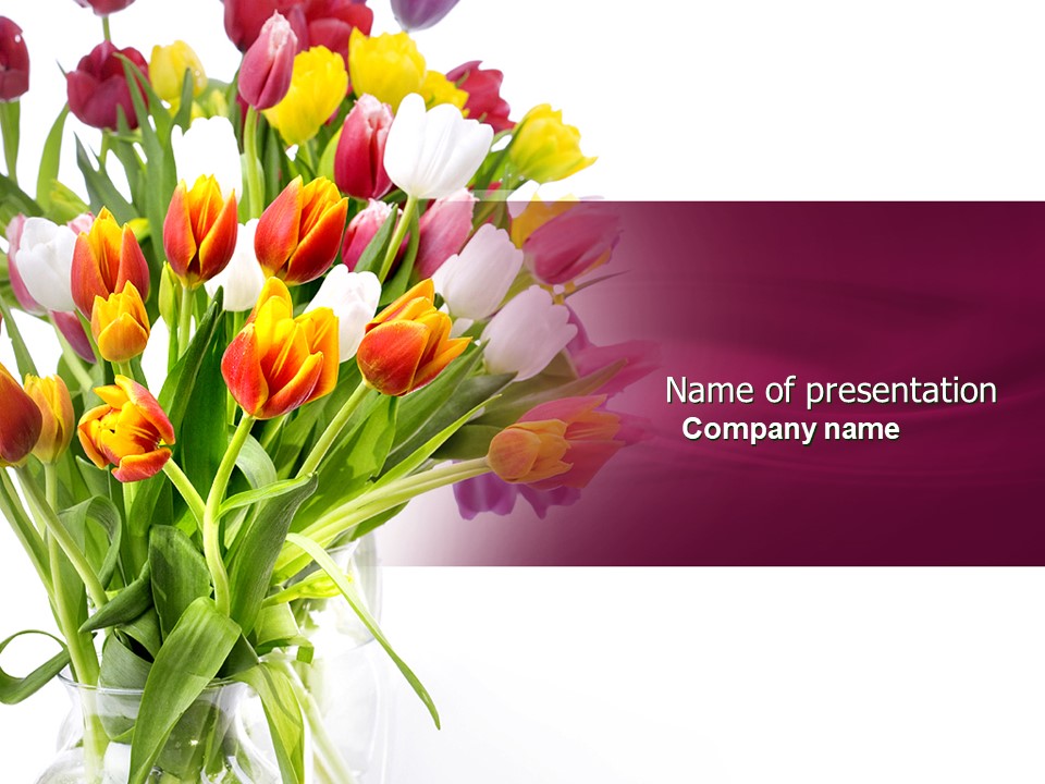 Tulips On A Purple Background PowerPoint Template and Google Slides Theme
