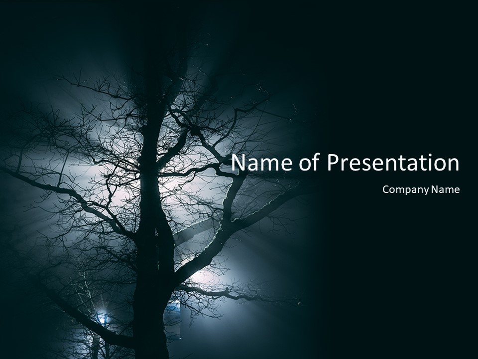 Spooky Night Shot of Tree in Fog Backlit by Streetlight - Free Google Slides theme and PowerPoint template
