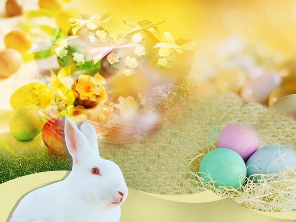 Easter Bunny - Free Google Slides theme and PowerPoint template
