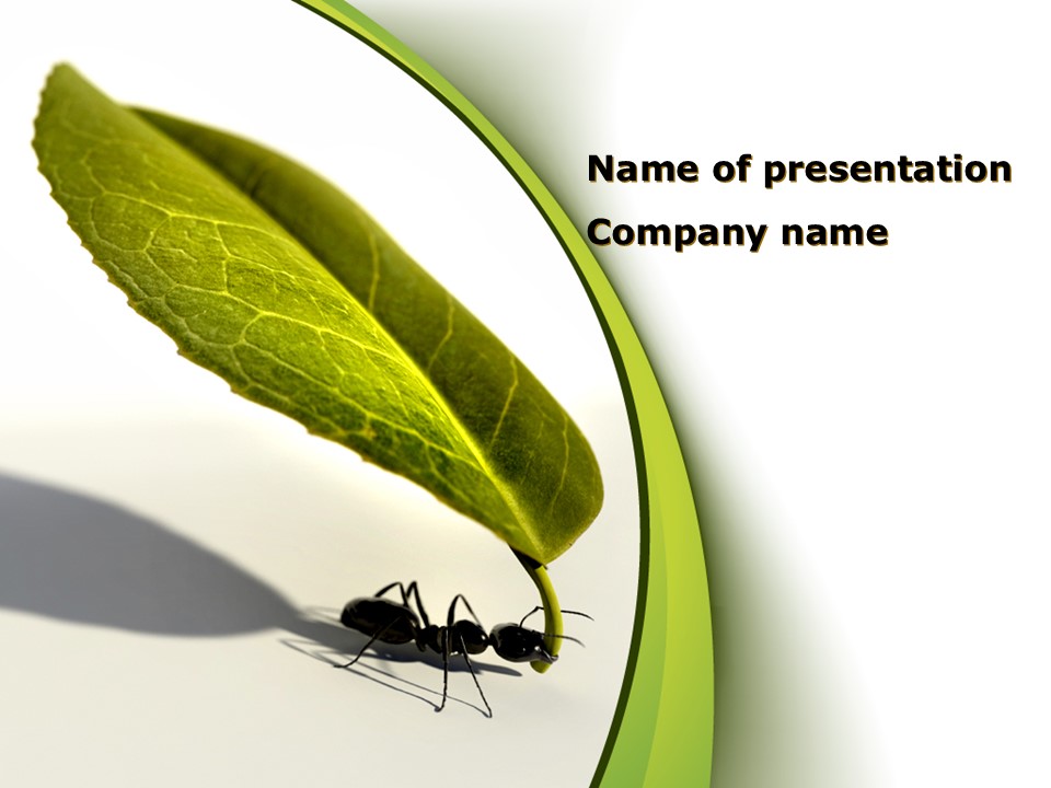 Spring Ant - Free Google Slides theme and PowerPoint template
