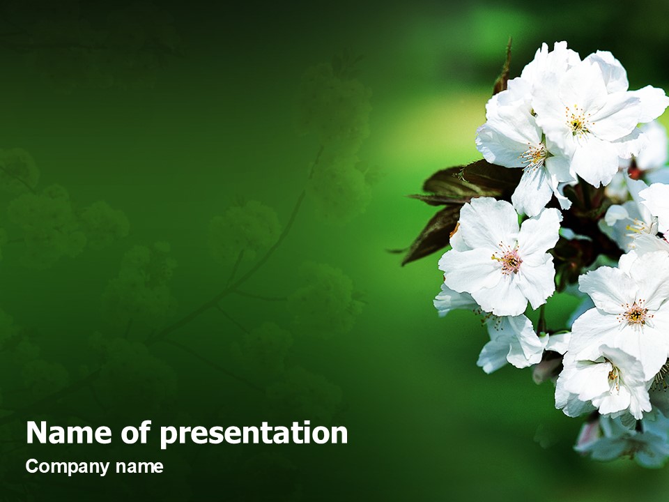 Blooming Cherry Tree In The Spring - Free Google Slides theme and PowerPoint template
